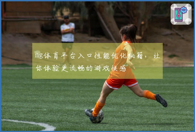 ng体育平台入口性能优化秘籍，让你体验更流畅的游戏快感