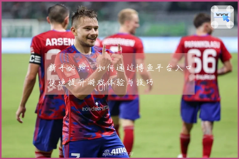 新手必知：如何通过博鱼平台入口快速提升游戏体验与技巧