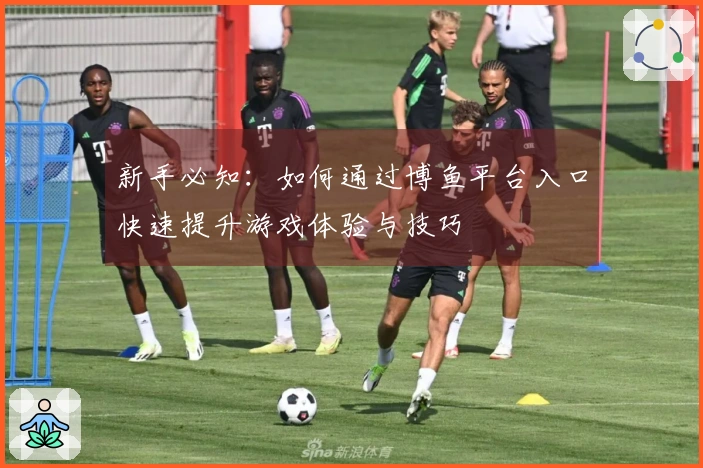 新手必知：如何通过博鱼平台入口快速提升游戏体验与技巧