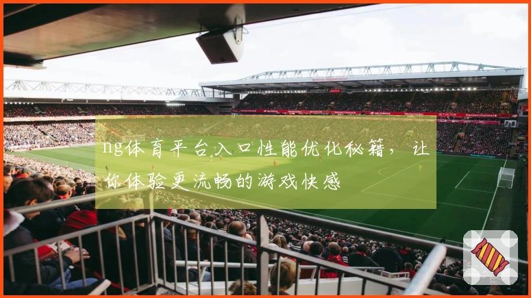 ng体育平台入口性能优化秘籍，让你体验更流畅的游戏快感