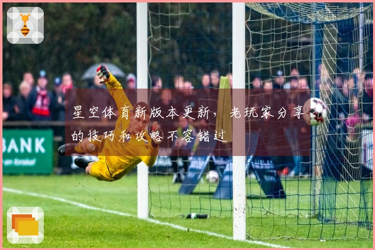 星空体育新版本更新，老玩家分享的技巧和攻略不容错过