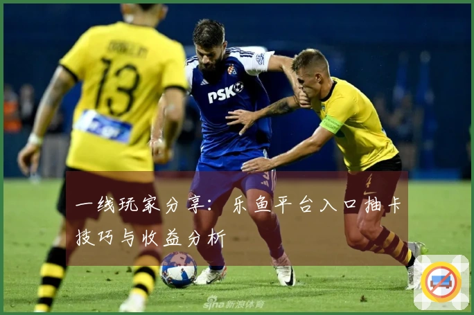 一线玩家分享：乐鱼平台入口抽卡技巧与收益分析